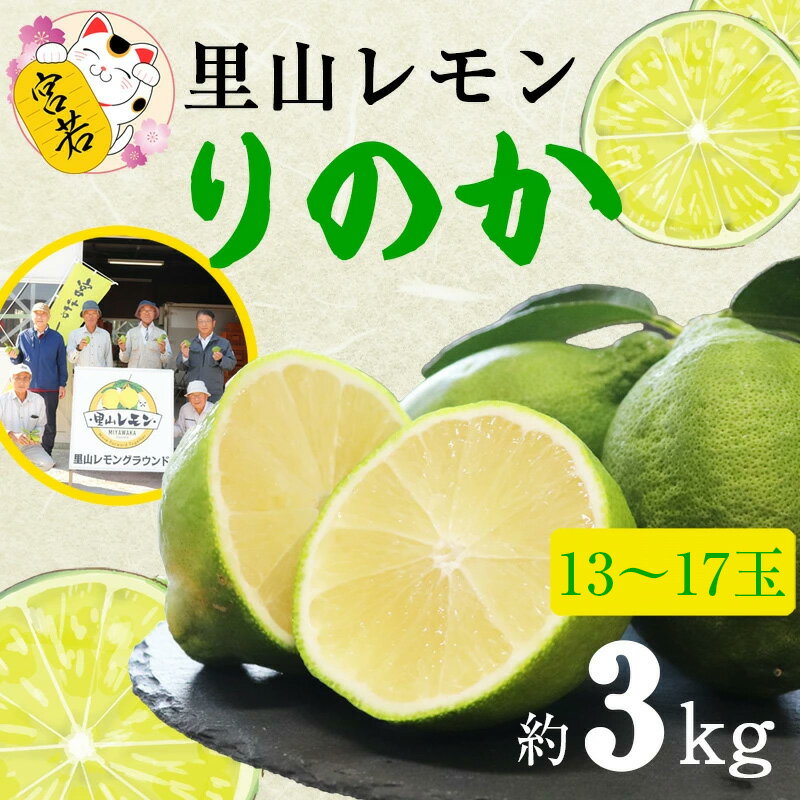 レモン りのか 璃の香 約3kg 宮若市 特産品 【里山レモンの会】