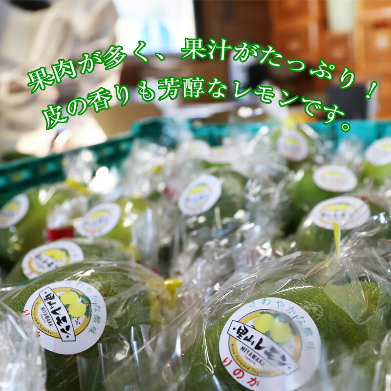 【ふるさと納税】レモン りのか 璃の香 約3kg 宮若市 特産品 【里山レモンの会】 サムネイル2