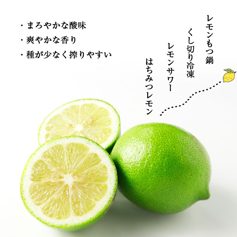 【ふるさと納税】レモン りのか 璃の香 約3kg 宮若市 特産品 【里山レモンの会】 サムネイル3