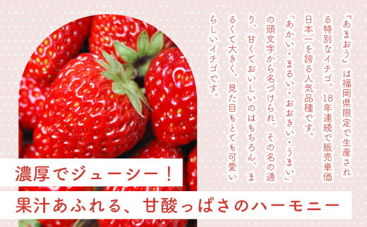 【ふるさと納税】【先行予約】あまおう 270g×4パック いちご 苺 イチゴ 合計約1080g 令和8年1月より順次発送 ブランド ストロベリー 博多 大人気 ナンバーワン NO1 限定品 高級 フルーツ 果物 くだもの 九州 福岡 宮若市 ふるさと納税 おすすめ 送料無料 M585-3 サムネイル3