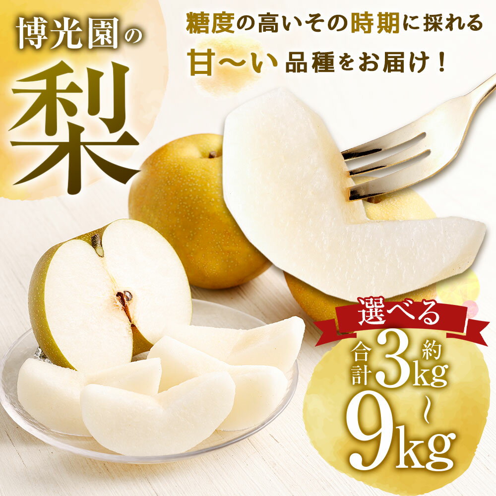 【ふるさと納税】梨 約3kg/約4.5kg/約7kg/約9kg 選べる内容量 豊水 20世紀 新高 新興 なし ナシ 果物 くだもの フルーツ 果実 九州産 国産 福岡県産 数量限定 期間限定 送料無料【2025年9月下旬～12月下旬に順次発送予定】 サムネイル2