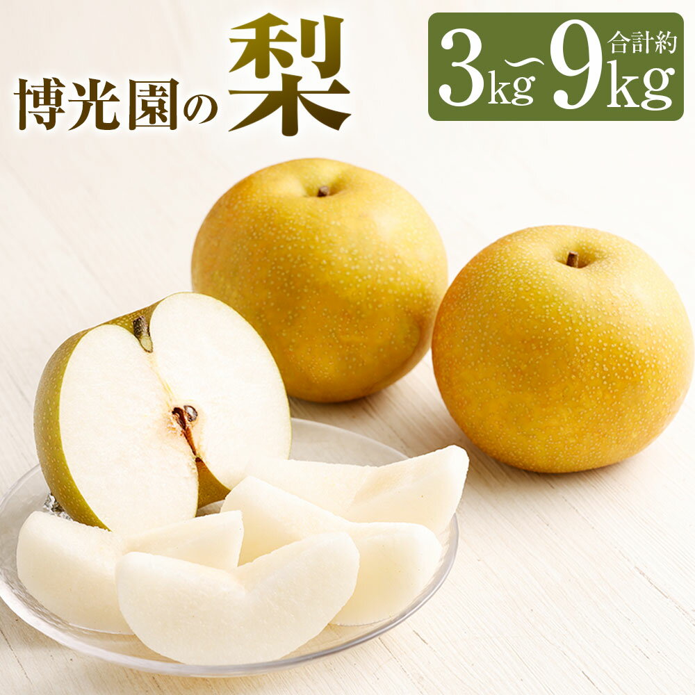 梨 約3kg/約4.5kg/約7kg/約9kg 選べる内容量 豊水 20世紀 新高 新興 なし ナシ 果物 くだもの フルーツ 果実 九州産 国産 福岡県産 数量限定 期間限定 送料無料【2025年9月下旬～12月下旬に順次発送予定】