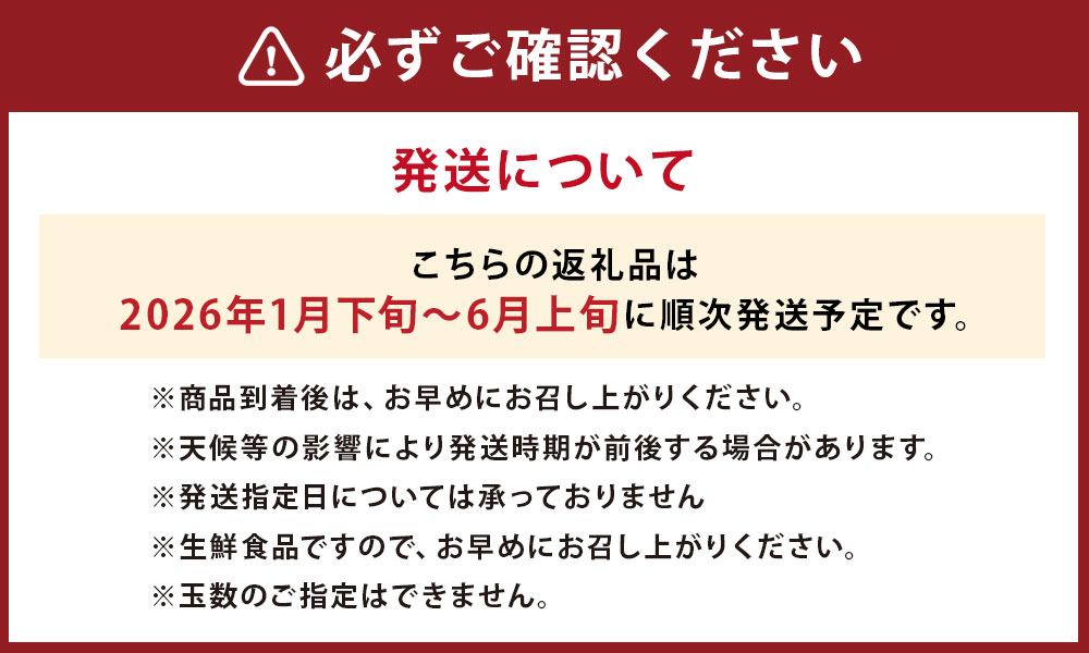 【ふるさと納税】JAふくおか嘉穂 嘉穂のこくうま エコトマト 4kg 20玉～24玉 【2026年1月下旬-6月上旬迄順次発送予定】 トマト とまと 野菜 サラダ 新鮮 コク エコ eco 福岡エコ農産物 国産 九州 福岡 送料無料 - 画像3