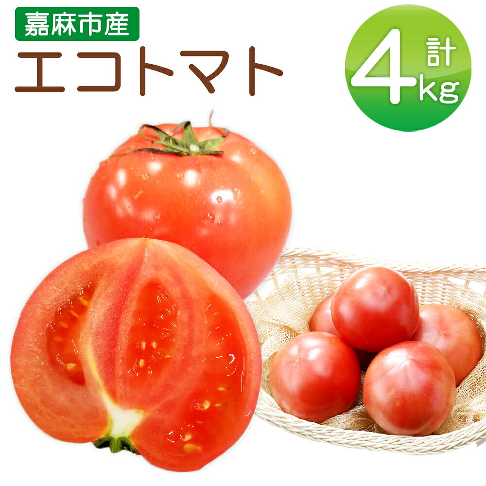 JAふくおか嘉穂 嘉穂のこくうま エコトマト 4kg 20玉～24玉 【2026年1月下旬-6月上旬迄順次発送予定】 トマト とまと 野菜 サラダ 新鮮 コク エコ eco 福岡エコ農産物 国産 九州 福岡 送料無料