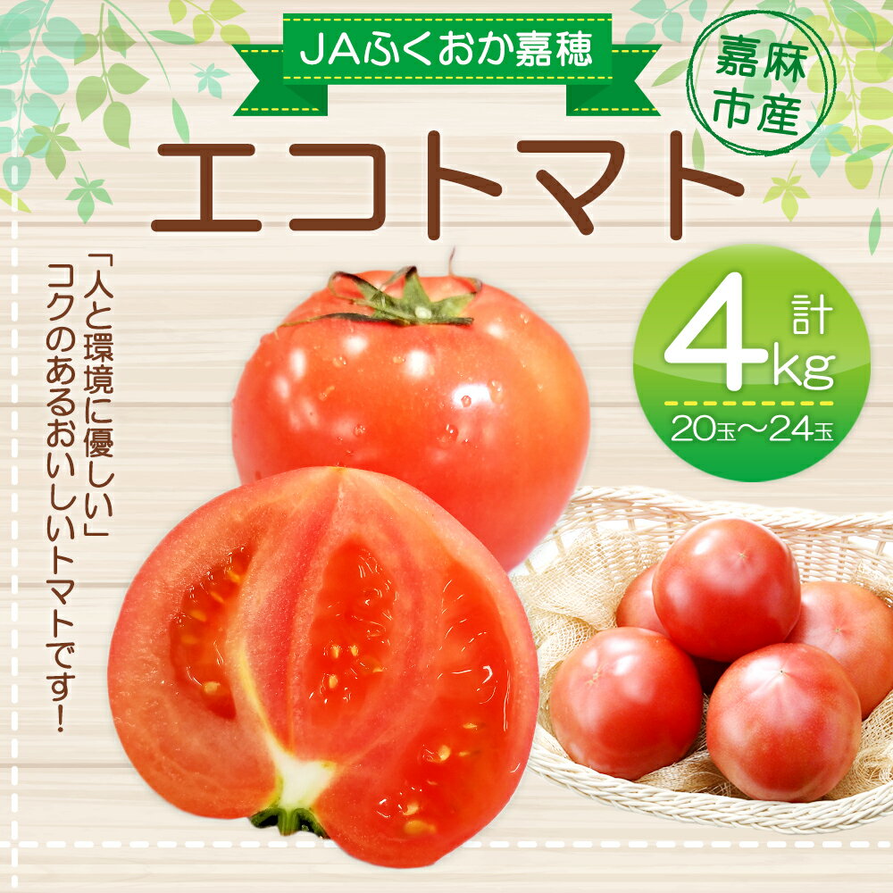 【ふるさと納税】JAふくおか嘉穂 嘉穂のこくうま エコトマト 4kg 20玉～24玉 【2026年1月下旬-6月上旬迄順次発送予定】 トマト とまと 野菜 サラダ 新鮮 コク エコ eco 福岡エコ農産物 国産 九州 福岡 送料無料 - 画像2