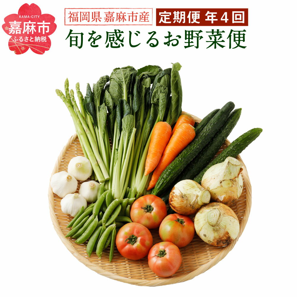 旬を感じるお野菜 定期便 年4回 ほうれん草 スナックエンドウ わらび きゅうり トマト ピーマン 里芋 小松菜 ブロッコリー 白菜 冷蔵 詰め合わせ セット 国産 九州産 福岡産 送料無料