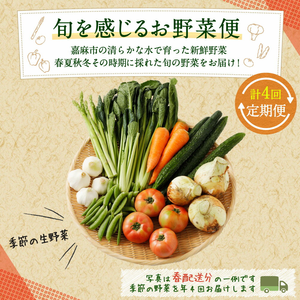 【ふるさと納税】旬を感じるお野菜 定期便 年4回 ほうれん草 スナックエンドウ わらび きゅうり トマト ピーマン 里芋 小松菜 ブロッコリー 白菜 冷蔵 詰め合わせ セット 国産 九州産 福岡産 送料無料 - 画像2