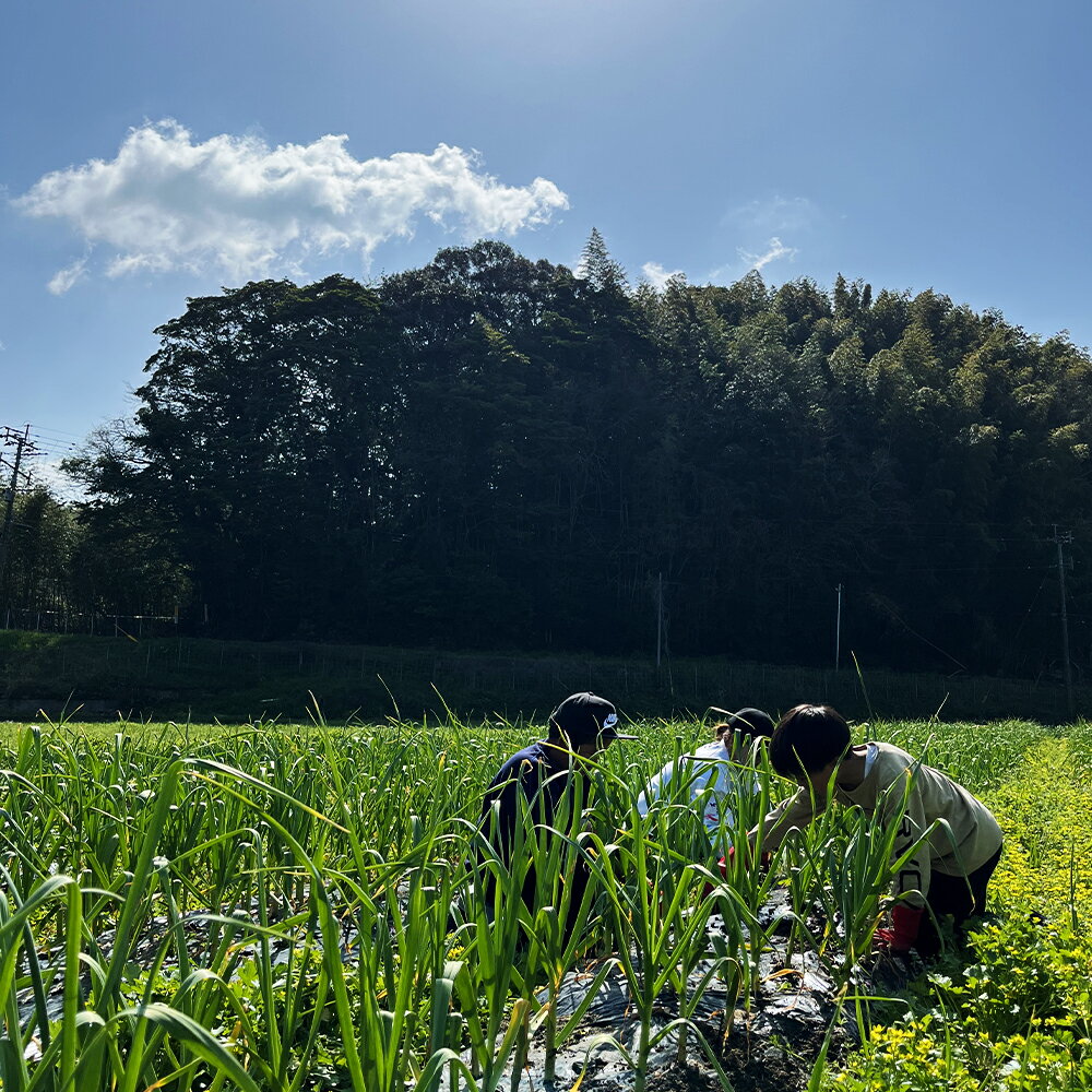 【ふるさと納税】福岡県産黒にんにく100g×2個 合計200g 黒にんにく にんにく 健康 食品 野菜 福岡県産 九州産 国産 送料無料【2025年8月上旬より順次発送予定】 - 画像2