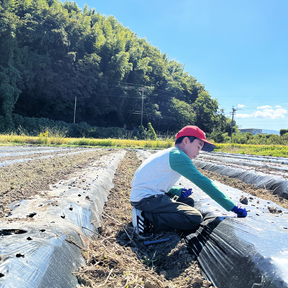 【ふるさと納税】福岡県産黒にんにく100g×2個 合計200g 黒にんにく にんにく 健康 食品 野菜 福岡県産 九州産 国産 送料無料【2025年8月上旬より順次発送予定】 - 画像3