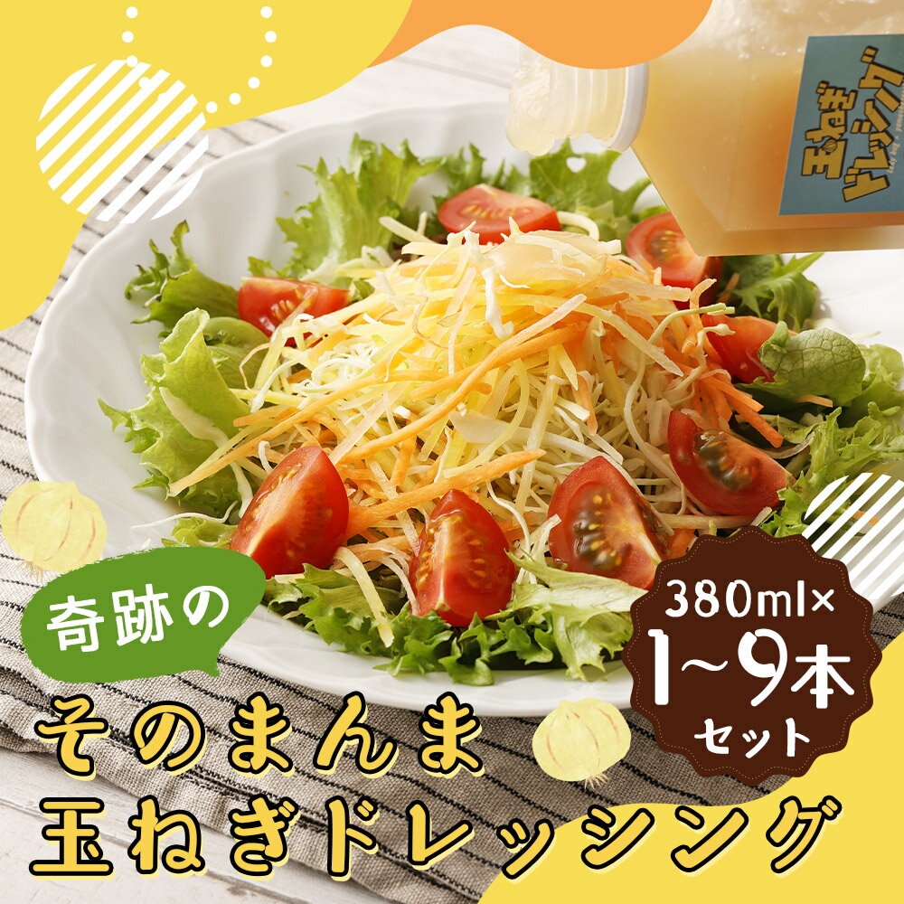 【ふるさと納税】奇跡のそのまんま玉ねぎドレッシング 1本/3本/6本/9本 選べる本数 1本380ml ドレッシング 玉ねぎ 玉葱 調味料 無添加 ノンオイル仕上げ 冷蔵 送料無料 サムネイル2