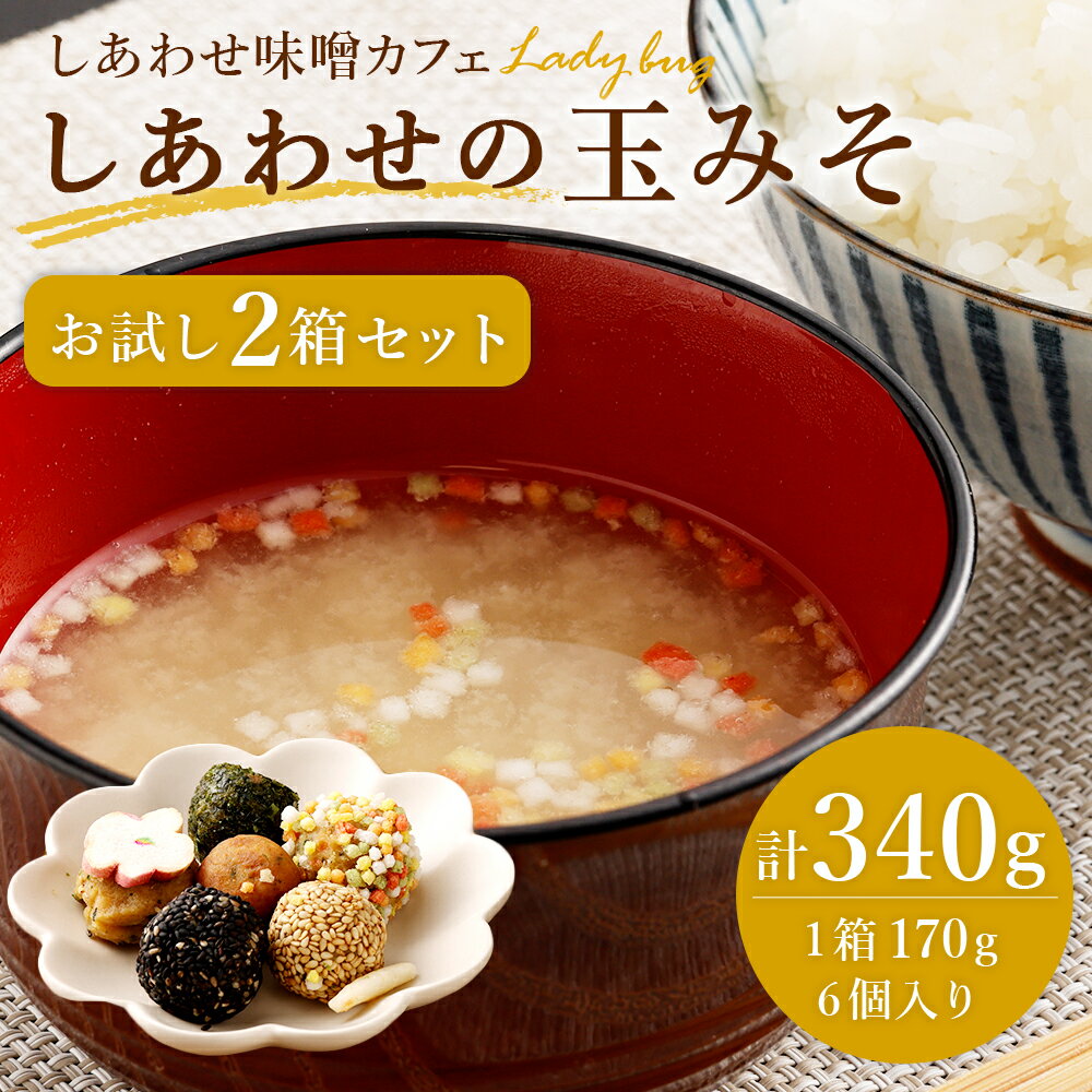 【ふるさと納税】しあわせの玉みそ 6個入り2箱 170g×2 無添加 玉みそ 食べる味噌 調味料 醗酵 大豆 味噌 みそ ミソ 減塩 冷蔵 福岡県産 九州産 国産 送料無料 楽天スーパーSALE 9月開催 サムネイル2