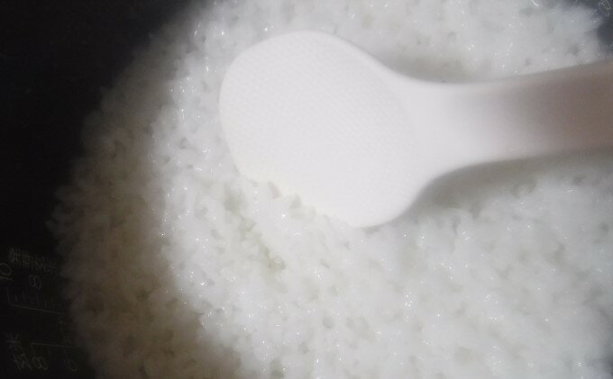 【ふるさと納税】米 10kg 季節野菜 セット 精米 ゆめつくし お米 詰合せ - 画像3