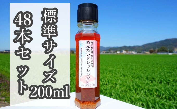 【ふるさと納税】★48本セット★【うま味と辛味が際立つめんたいドレッシング】（標準サイズ200ml） 調味料 サムネイル2