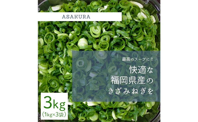 【ふるさと納税】野菜 カット ねぎ 3kg（1kg×3袋）長ネギ 配送不可エリア有り - 画像2