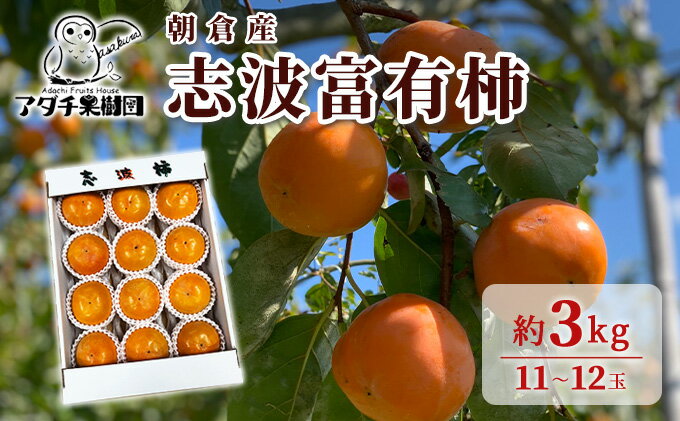 【ふるさと納税】柿 志波 富有柿 約3kg 11～12玉 果物類 かき 　お届け：2025年11月上旬～12月中旬 サムネイル2