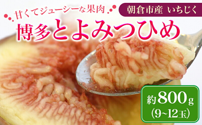 【ふるさと納税】いちじく フルーツ とよみつひめ 約800g 2026年 発送 博多 加温 プレミアムいちじく 果物 くだもの デザート 筑前あさくら農協 配送不可 離島 　お届け：2026年7月上旬～7月下旬 サムネイル2