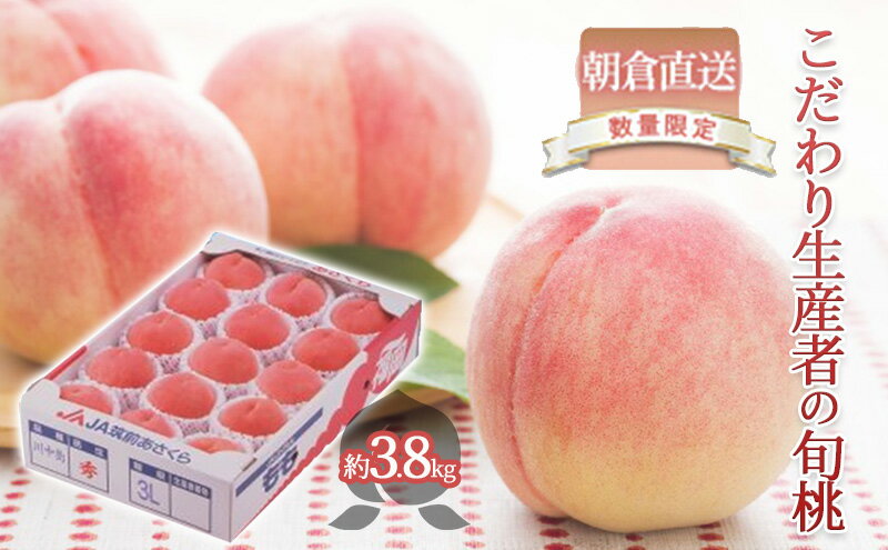 【ふるさと納税】限定 数量 桃 もも モモ 3.8kg 2026年 発送 フルーツ 果物 くだもの デザート 筑前あさくら農協 オンライン決済限定 配送不可 離島　お届け：2026年7月上旬～8月中旬 サムネイル2