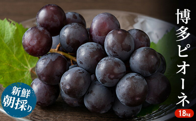【ふるさと納税】ぶどう 種無しぶどう 博多 ピオーネ 1.8kg 2026年 発送 ブドウ 葡萄 フルーツ 果物 くだもの デザート 筑前あさくら農協 配送不可 離島　お届け：2026年7月上旬～8月上旬 サムネイル2