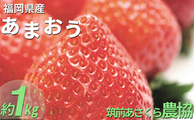 【ふるさと納税】いちご あまおう 福岡県産 約1kg 250g×4パック 筑前あさくら農協 配送不可 離島 果物類 苺 イチゴ 配送期間：2026年1月下旬～3月上旬　お届け：2026年1月下旬～3月上旬 サムネイル2
