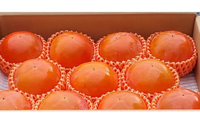 【ふるさと納税】柿 かき 富有柿 3kg 2L サイズ 10～12個入り 朝倉 杷木の富有柿 カキ フルーツ 果物 果物類 　お届け：2025年11月25日～12月10日 サムネイル3