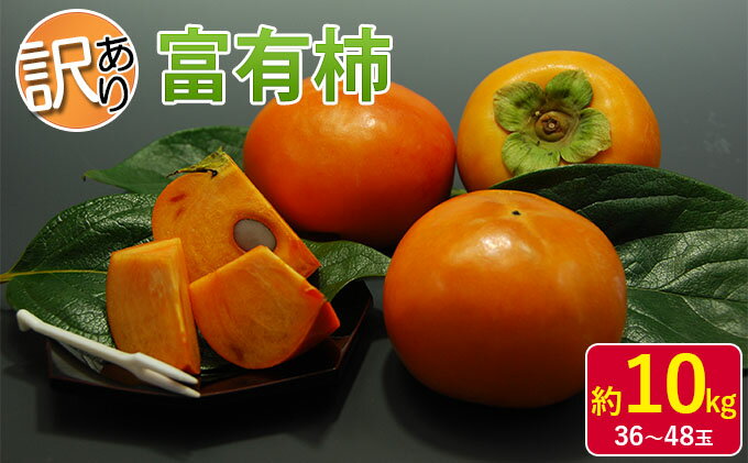 【ふるさと納税】訳あり 柿 富有柿 約10kg 36～48玉 オンライン決済限定 配送不可 離島 果物 フルーツ 秋の味覚 旬 デザート 果実 柿の王様 甘柿 代表品種 朝倉の柿 おやつ 　お届け：2025年11月下旬～12月上旬 サムネイル2