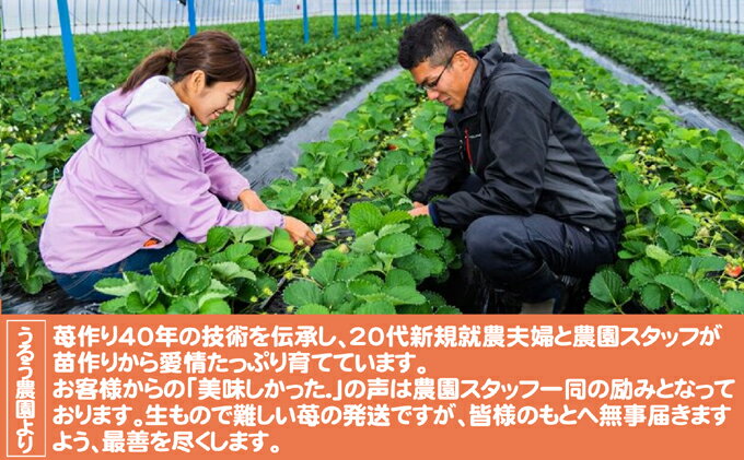 【ふるさと納税】いちご うるう農園の冷凍あまおう 約2kg※配送不可：離島 サムネイル3