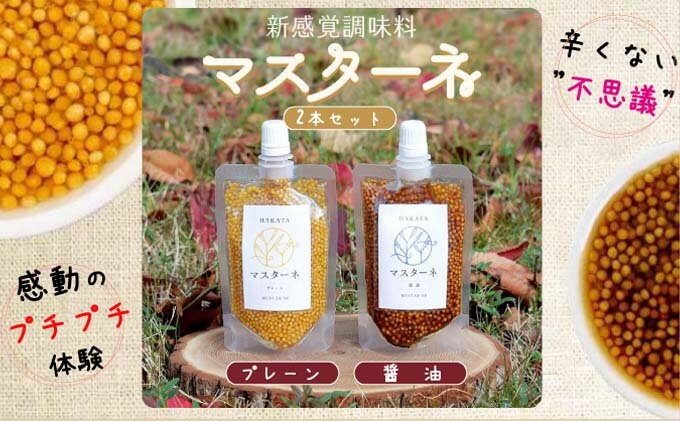 【ふるさと納税】調味料 マスターネ プレーン しょう油 2本セット 100g×各1 マスタード 食べ比べマスタードシード 味付け 辛くない 料理 アクセント和食 洋食 中華 万能調味料 サムネイル2
