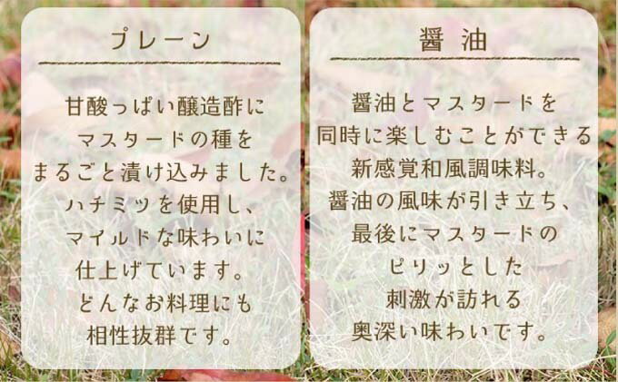 【ふるさと納税】調味料 マスターネ プレーン しょう油 2本セット 100g×各1 マスタード 食べ比べマスタードシード 味付け 辛くない 料理 アクセント和食 洋食 中華 万能調味料 サムネイル3