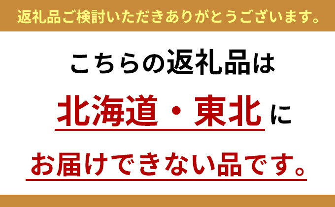 【ふるさと納税】いちご かおりの苺 280g×2パック 配送不可 北海道 東北 果物類 フルーツ おやつ デザート 食後 上品な香り 酸味が少ない 産地直送 国産 　お届け：2026年1月上旬～3月上旬 サムネイル3