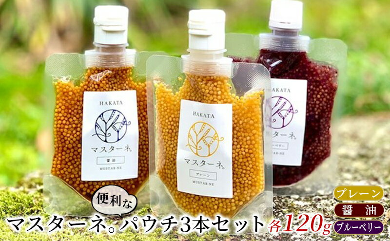 【ふるさと納税】調味料 マスタード 3本 セット マスターネ。 プレーン 醤油 ブルーベリー 各120g パウチ 食べ比べ ※配送不可:離島 サムネイル2