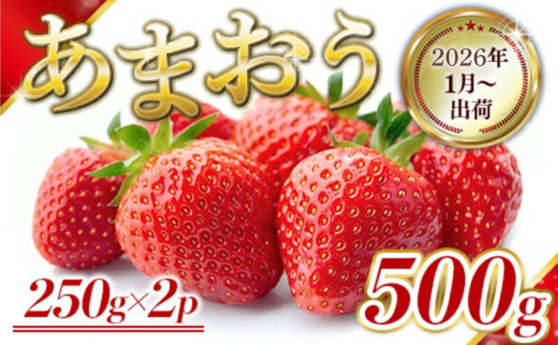 【ふるさと納税】いちご 福岡県産 あまおう 500g (250g×2パック) 先行予約 2025年1月より順次発送 果物 デザート ※配送不可：離島 　お届け：2026年1月6日～1月31日 サムネイル2