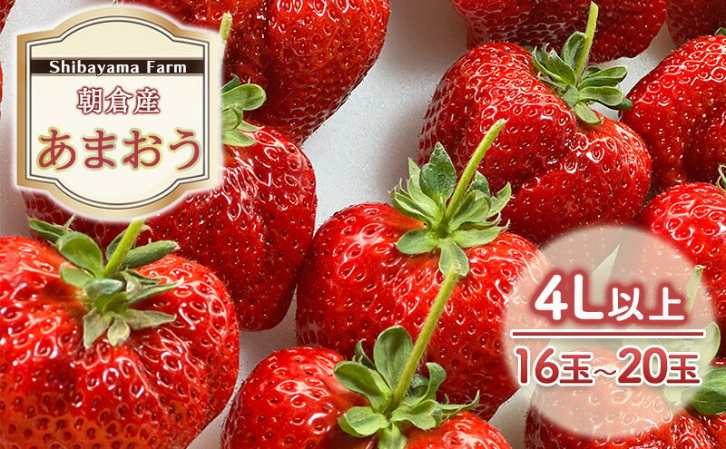 【ふるさと納税】いちご 朝倉市産 あまおう 4L以上 16玉～20玉 イチゴ 苺 果物 デザート ＜Shibayama Farm＞ ※配送不可：離島 　お届け：2025年12月中旬～2026年3月下旬 サムネイル2