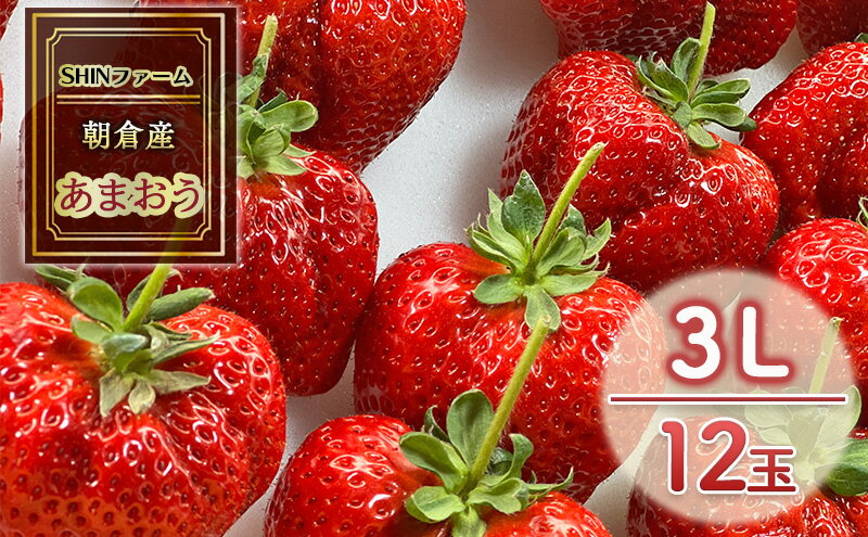 【ふるさと納税】いちご 朝倉市産 あまおう 3L 12玉 イチゴ 苺 果物 デザート ＜SHINファーム＞ ※配送不可：離島 　お届け：2025年12月中旬～2026年3月下旬 サムネイル2