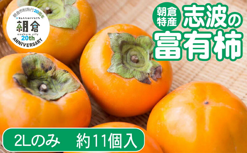 【ふるさと納税】【朝倉市制施行20周年記念企画】 柿 志波の富有柿 2Lサイズのみ×約11個入 ゆう美果樹園 ※配送不可：離島　お届け：2025年11月20日～12月25日 サムネイル2