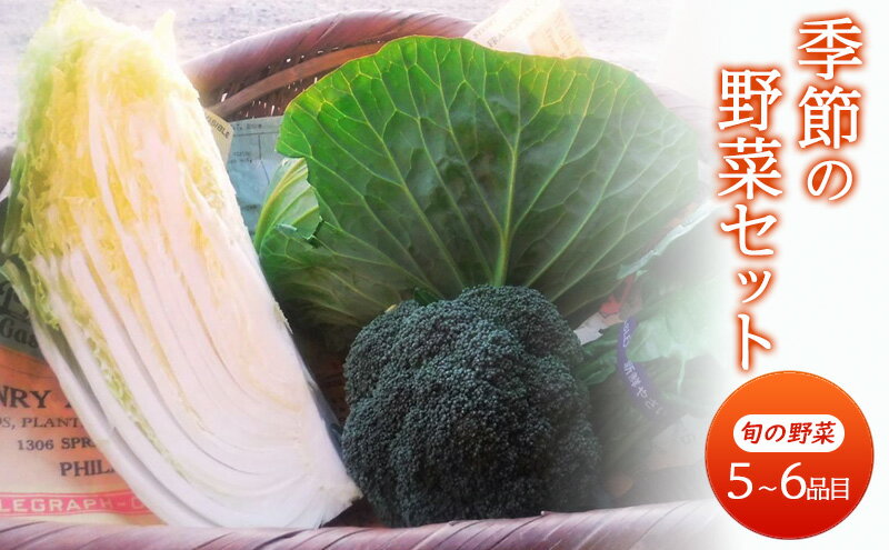 【ふるさと納税】野菜 季節の野菜セット 季節 冬 旬 野菜セット 福岡県 朝倉市 - 画像2