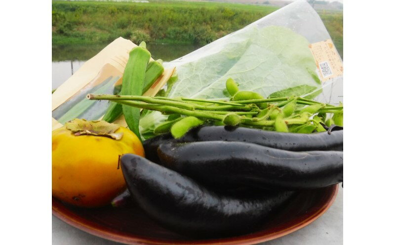 【ふるさと納税】野菜 季節の野菜セット 季節 冬 旬 野菜セット 福岡県 朝倉市 - 画像3