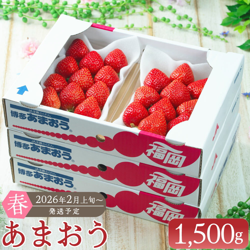 【春】あまおう 6パック 合計 約1500g 1パック 約250g イチゴ いちご 苺 果物 くだもの フルーツ 1kg以上 福岡県産 九州 みやま市 予約 送料無料 A159 【2026年2月上旬～3月下旬以降発送予定】