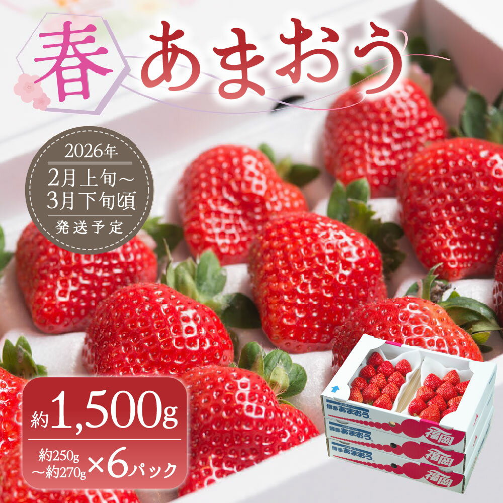 【ふるさと納税】【春】あまおう 6パック 合計 約1500g 1パック 約250g イチゴ いちご 苺 果物 くだもの フルーツ 1kg以上 福岡県産 九州 みやま市 予約 送料無料 A159 【2026年2月上旬～3月下旬以降発送予定】 サムネイル2