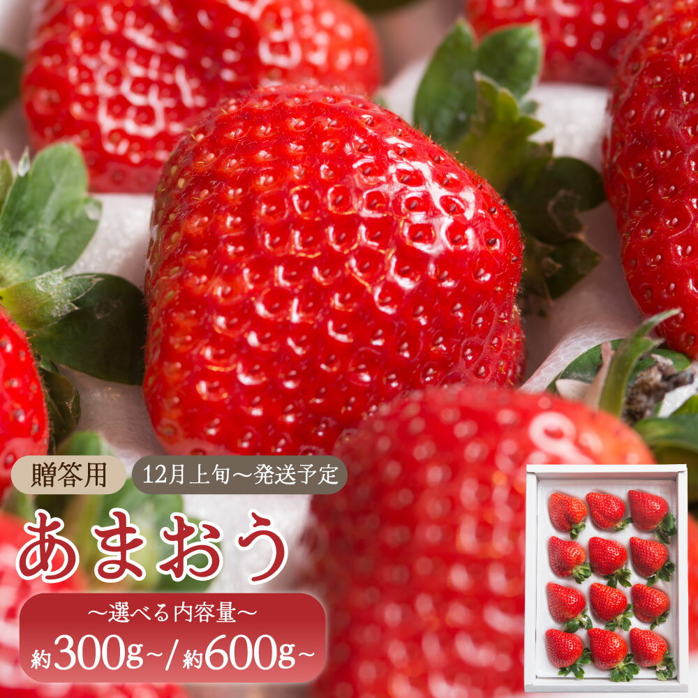 ＜選べる内容量＞【ギフト】あまおう 約300g または 約600g 贈答用 イチゴ いちご 苺 果物 くだもの フルーツ 福岡県産 九州 みやま市 予約 送料無料 A160 A161 【2025年12月上旬～2026年3月下旬発送予定】
