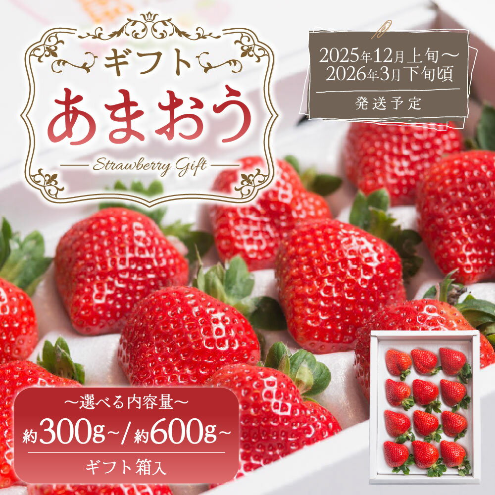 【ふるさと納税】＜選べる内容量＞【ギフト】あまおう 約300g または 約600g 贈答用 イチゴ いちご 苺 果物 くだもの フルーツ 福岡県産 九州 みやま市 予約 送料無料 A160 A161 【2025年12月上旬～2026年3月下旬発送予定】 サムネイル2