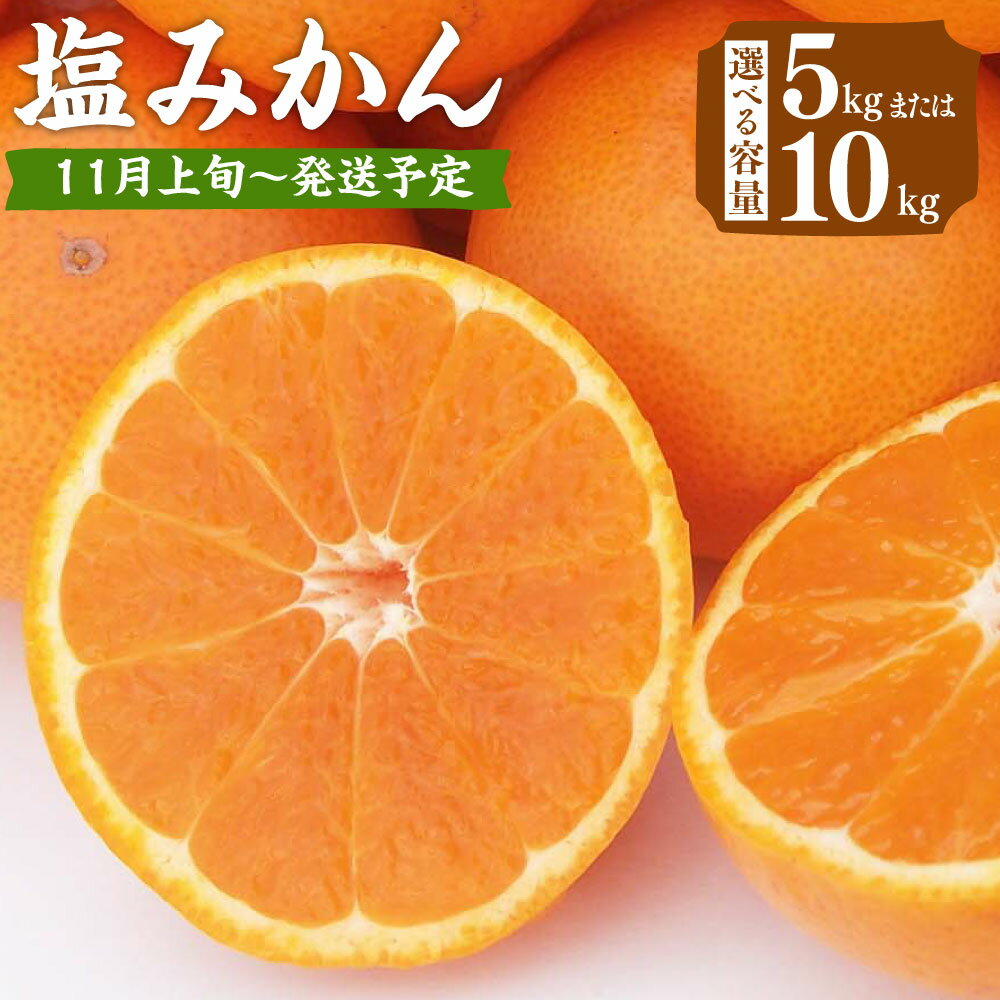 ＜選べる内容量＞ 福岡県 山川産 塩みかん 5kg または 10kg みかん ミカン 蜜柑 柑橘 フルーツ 果物 高糖度 国産 福岡県産 みやま市 九州 予約 送料無料 A157 A158 【2025年11月上旬～12月下旬発送予定】