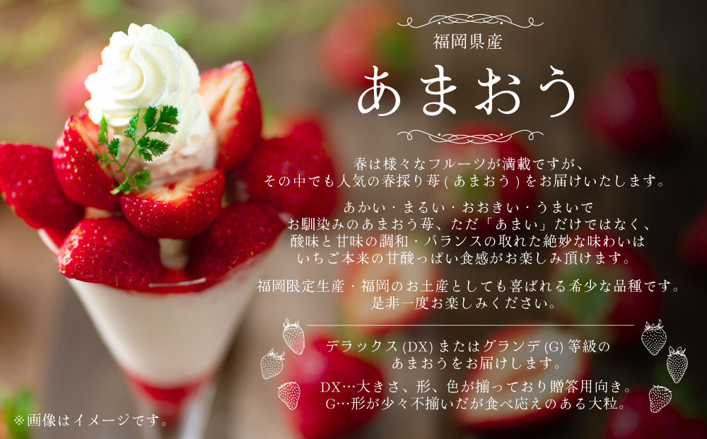 【ふるさと納税】【春】あまおう 6パック 合計 約1500g 1パック 約250g イチゴ いちご 苺 果物 くだもの フルーツ 1kg以上 福岡県産 九州 みやま市 予約 送料無料 A159 【2026年2月上旬～3月下旬以降発送予定】 サムネイル3