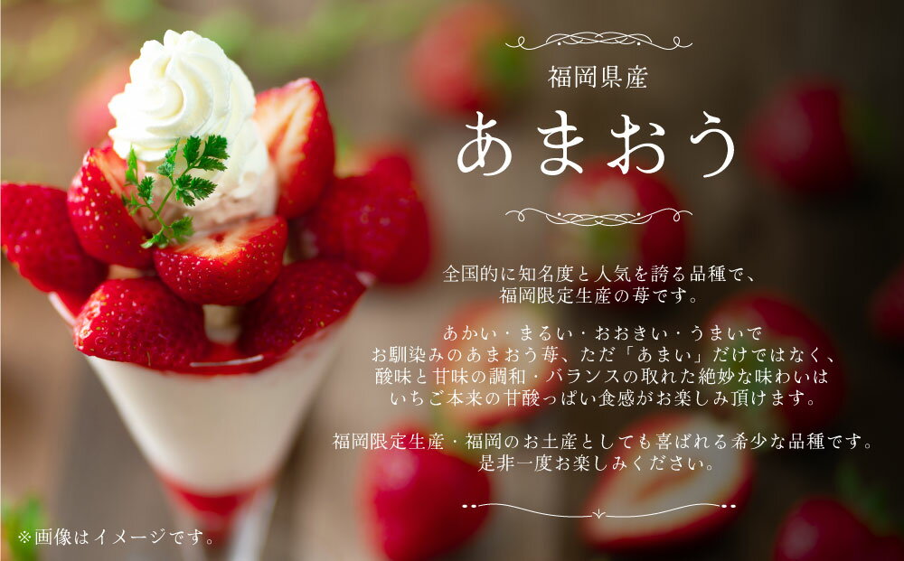 【ふるさと納税】＜選べる内容量＞【ギフト】あまおう 約300g または 約600g 贈答用 イチゴ いちご 苺 果物 くだもの フルーツ 福岡県産 九州 みやま市 予約 送料無料 A160 A161 【2025年12月上旬～2026年3月下旬発送予定】 サムネイル3