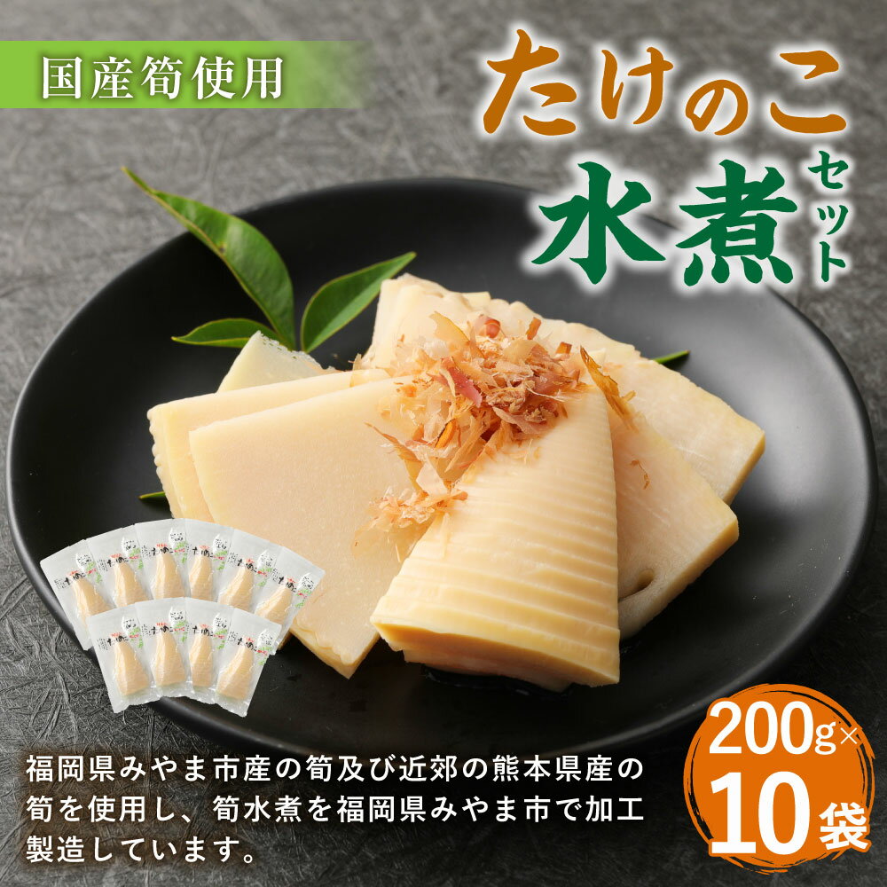 【ふるさと納税】B27 たけのこ水煮 10パックセット 筍 タケノコ 国産筍使用 保存食 備蓄 おかず 和食 惣菜 加工食品 パック 国産 送料無料 - 画像2