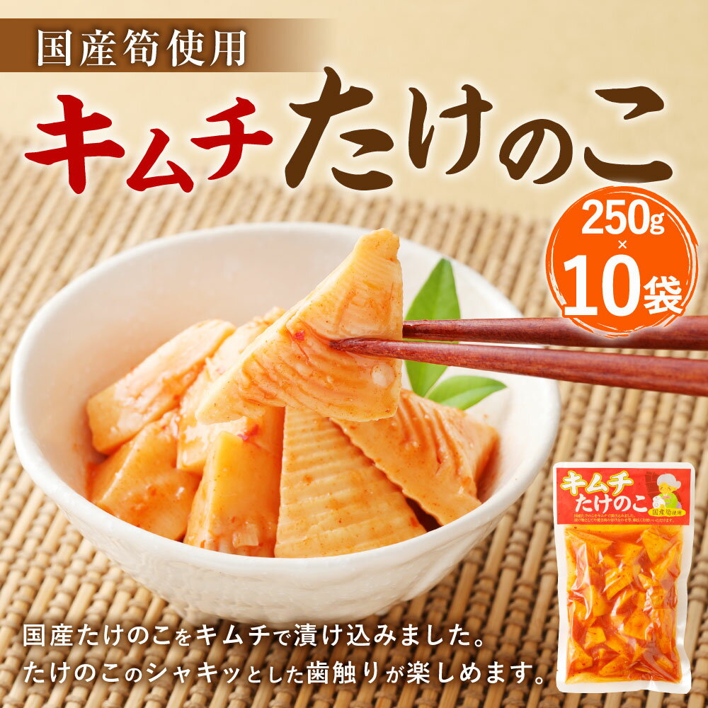 【ふるさと納税】B24 キムチ たけのこ 250g×10袋 筍 タケノコ 国産筍使用 保存食 備蓄 おかず 惣菜 おつまみ 加工食品 パック 国産 送料無料 - 画像2