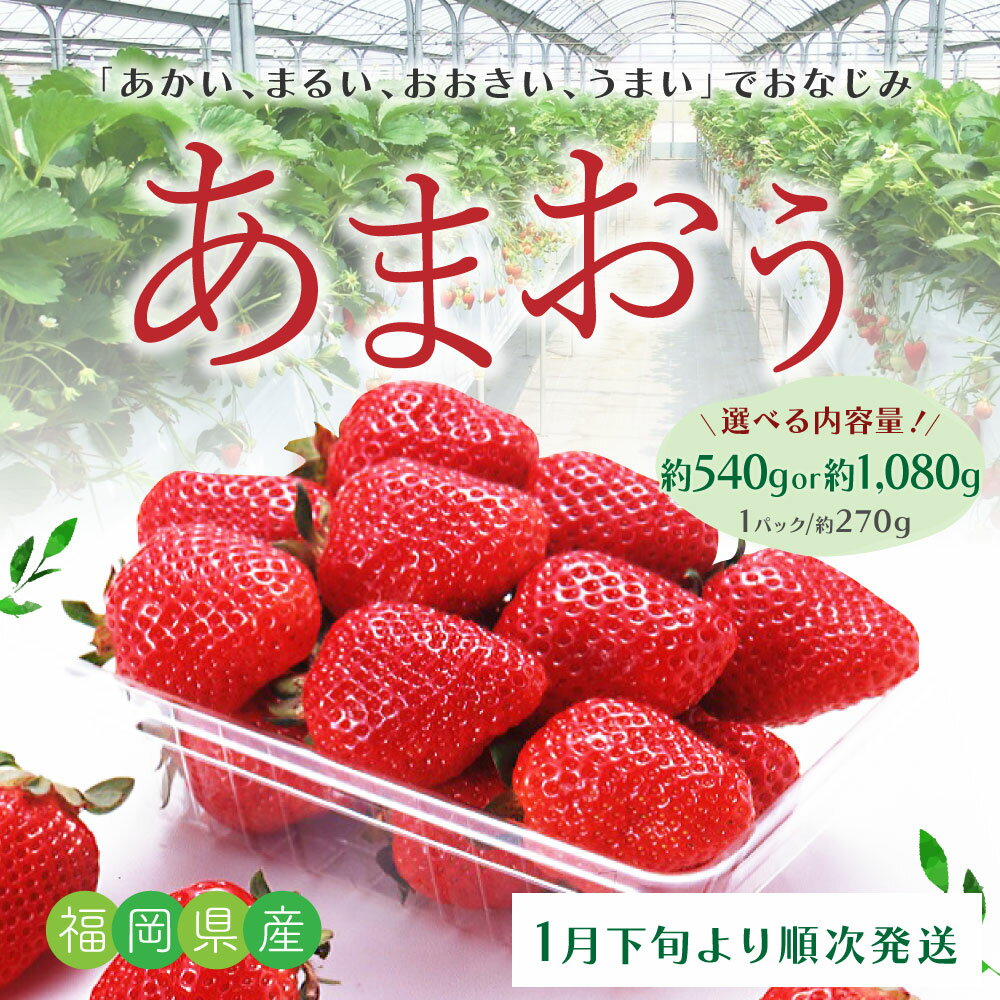 【ふるさと納税】 ＜選べる容量＞ あまおう 2パック計約540g または 4パック計約1,080g イチゴ いちご 苺 果物 くだもの フルーツ 福岡県産 九州 予約 送料無料 【2026年1月下旬～3月上旬迄順次発送予定】A1 T21 サムネイル2