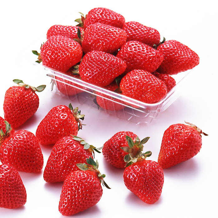 【ふるさと納税】 ＜選べる容量＞ あまおう 2パック計約540g または 4パック計約1,080g イチゴ いちご 苺 果物 くだもの フルーツ 福岡県産 九州 予約 送料無料 【2026年1月下旬～3月上旬迄順次発送予定】A1 T21 サムネイル3