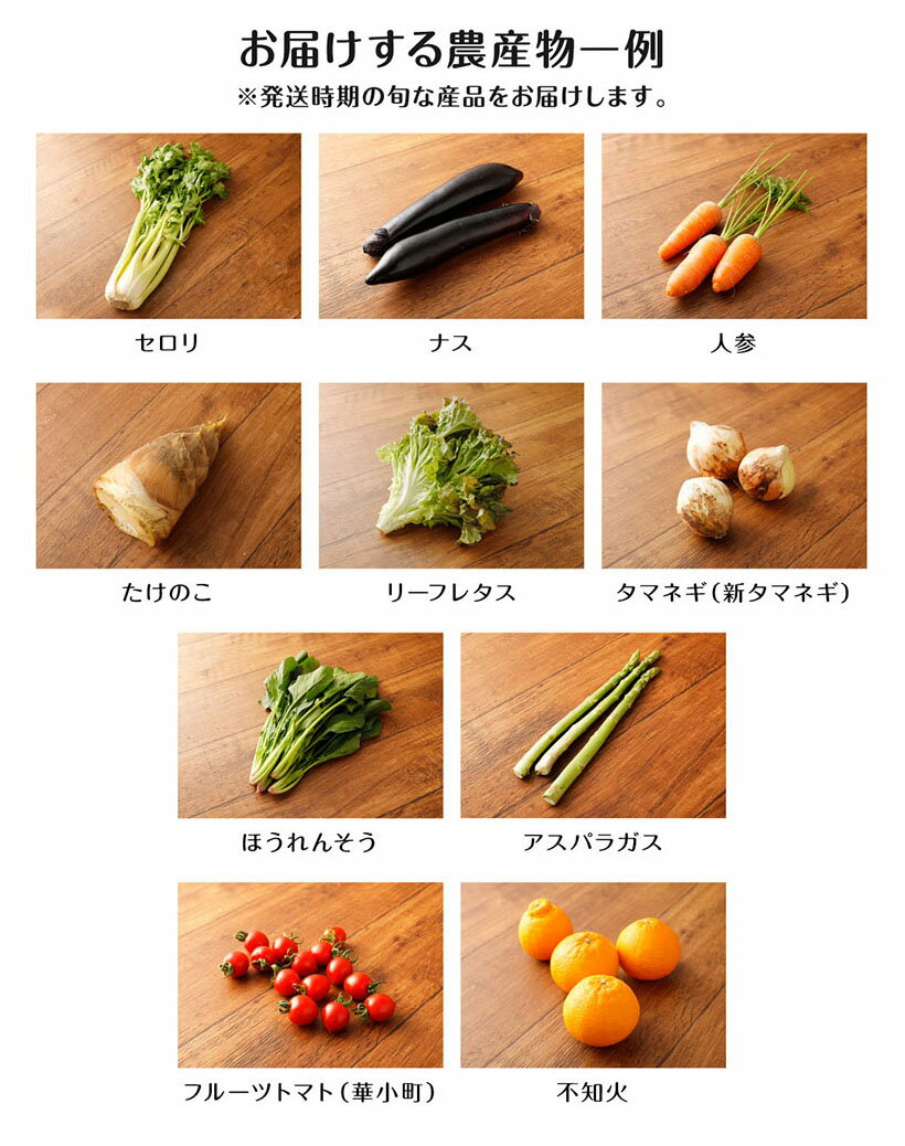 【ふるさと納税】A7 道の駅みやま「旬の農産物セット」 季節の野菜 フルーツ 旬 トマト セロリ 詰合せ 福岡産 送料無料 - 画像3