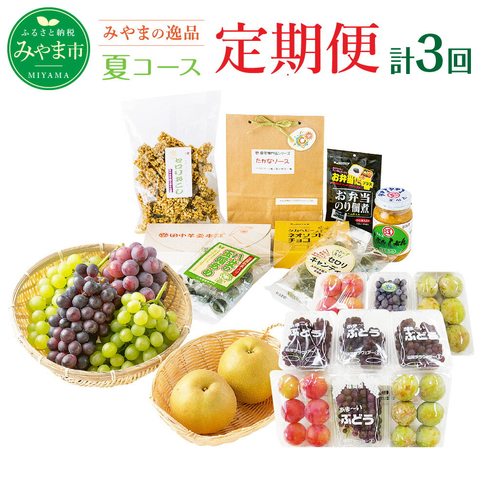 C2 【定期便 夏コース】みやま季節の逸品コース 3ヵ月 計3回 フルーツ 野菜 葡萄 ぶどう デラウェア ピオーネ スモモ すもも 梨 ブルーベリー カレー ジャム 旬 セット 詰め合わせ 福岡県産 九州産 定期発送 定期便 送料無料