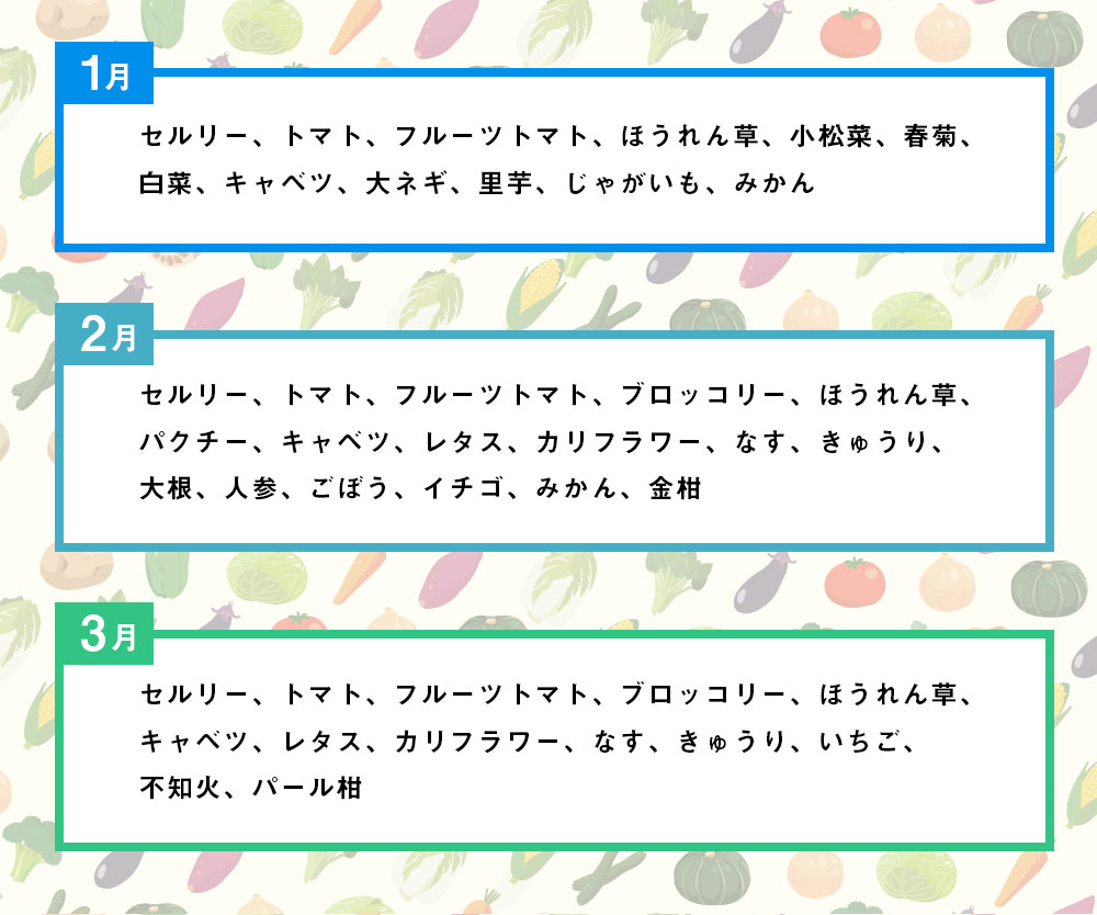 【ふるさと納税】E16【定期便12回】季節の旬野菜・果物セット 12ヶ月 毎月1回 1年間 12回 セット 詰め合わせ おまかせ ランダム 野菜 果物 ベジタブル フルーツ 宅配 特産品 地場産 福岡県産 九州産 国産 福岡県みやま市 送料無料 サムネイル3
